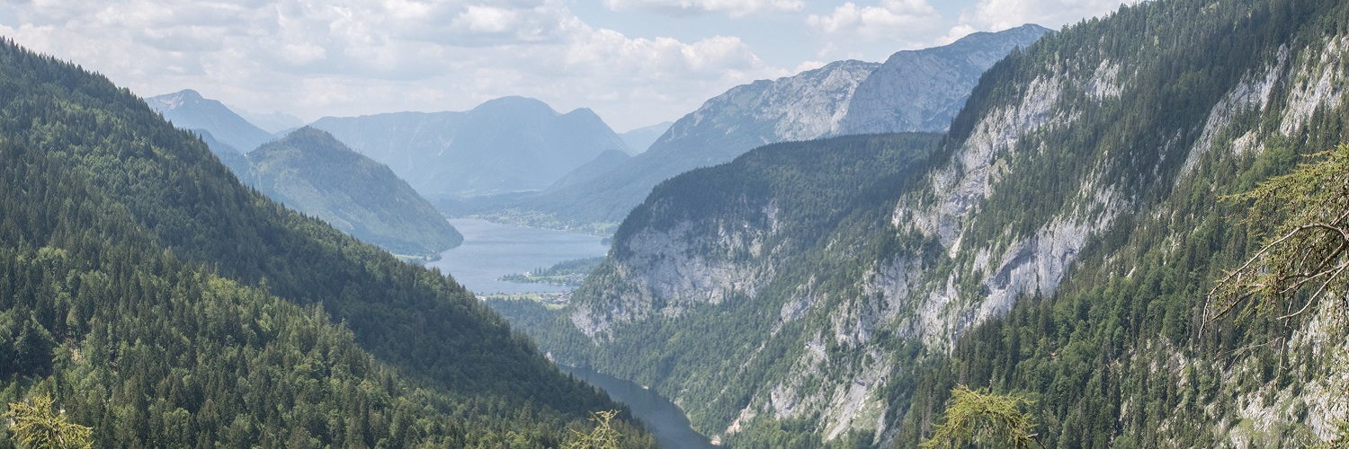 News und Inspiration für das Bundesland Steiermark
